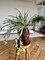 Artificial Chlorophytum Fake Spider Plant Decorative Silk Plant Indoor Wall Hanging Plants for Home Garden Verandah